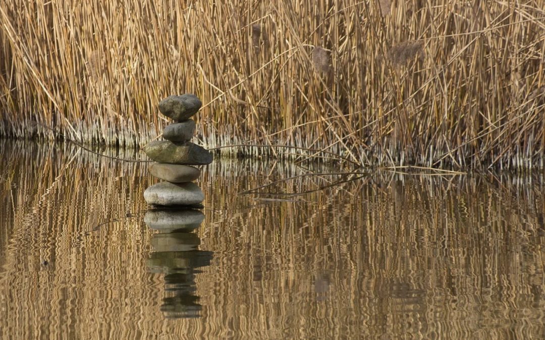 Life balance in times of crisis